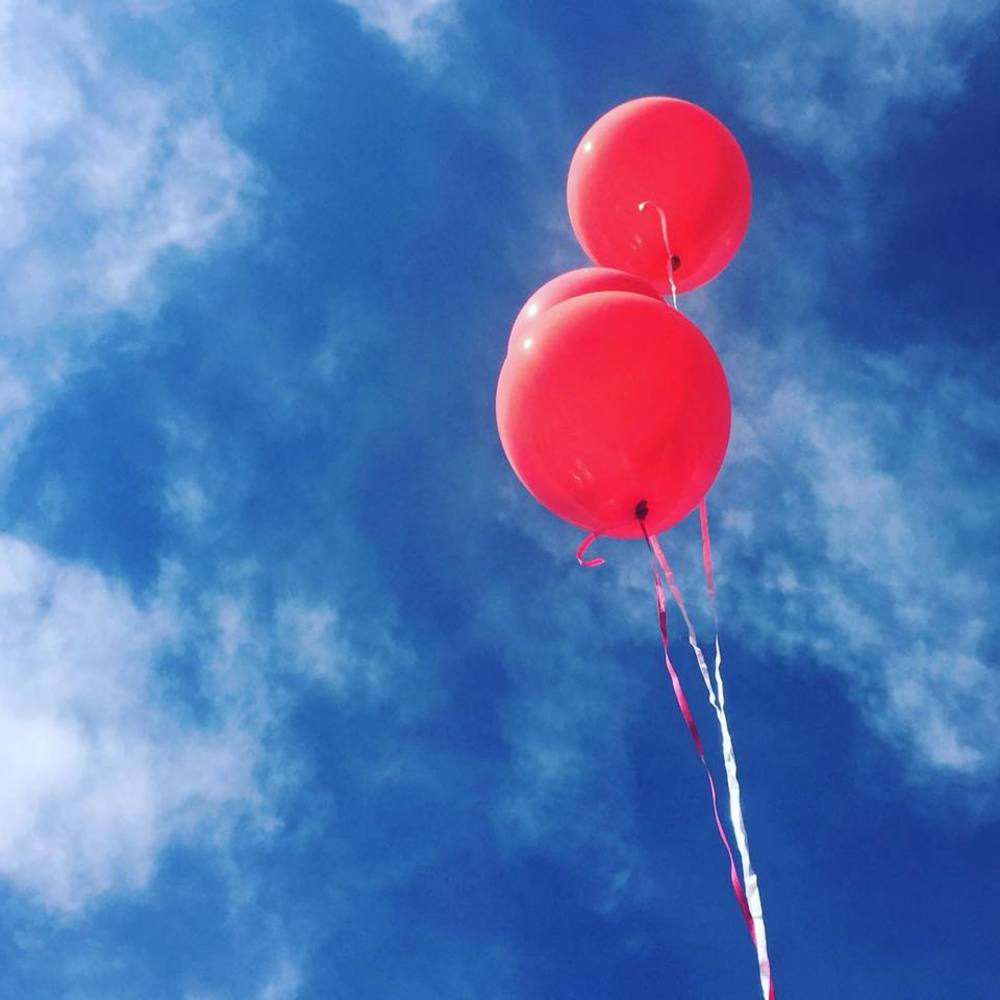 Meet your Posher, Kt